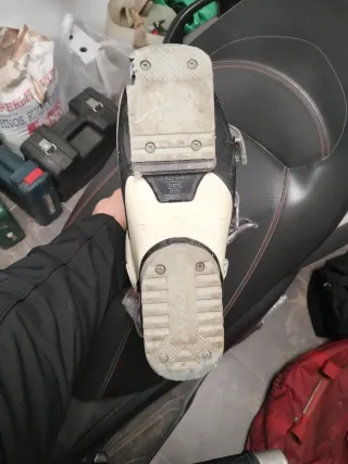 Botas de esquí alpino