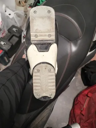 Botas de esquí alpino