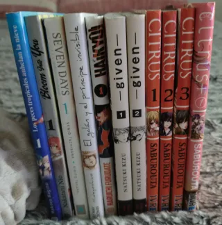 Mangas variados