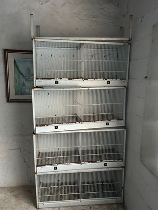 Modulo di gabbie bianche