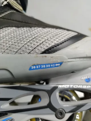 Patines en línea GT MX5