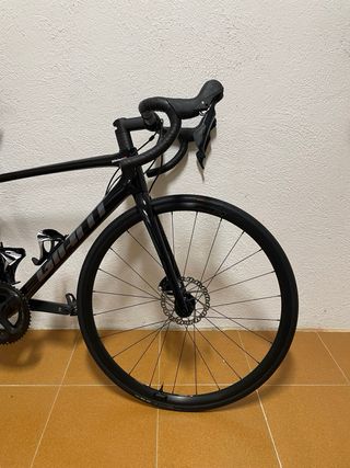 Giant TCR Talla S