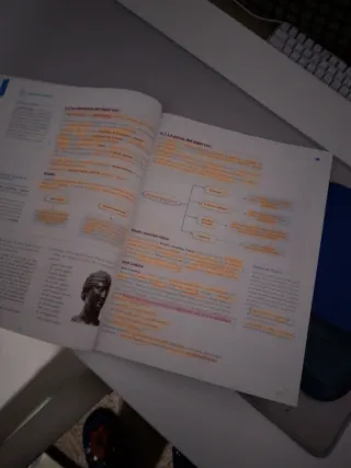 Lengua y Literatura 4