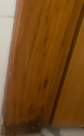 Puerta madera roble con cristal