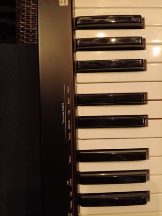 Controlador MIDI Nektar SE49