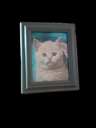 Portafotos de plástico y madera