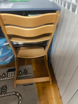 Trona evolutiva madera.