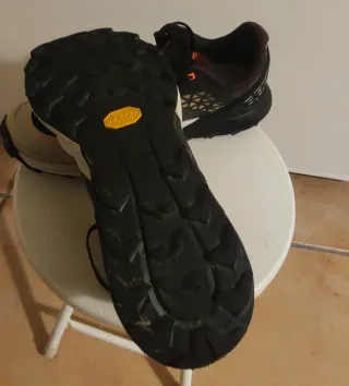 Zapatillas Trail Dynafit Alpine DNA Talla 42.5