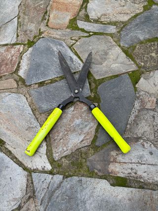 Tijeras de podar con mangos amarillos