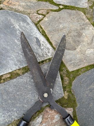 Tijeras de podar con mangos amarillos