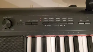 Teclado Yamaha Piaggero NP-12