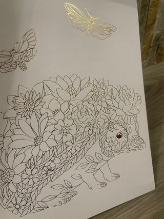 Album da colorare Déco Time Gold Foil