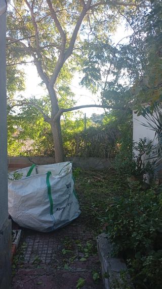 Podas, desbroces , riegos , mantenimiento