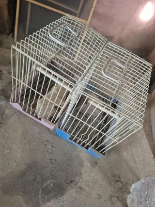 Vendo gabbie a Huelva, nessuna spedizione