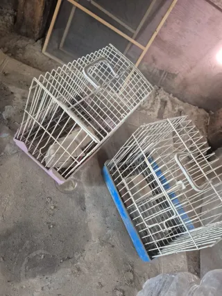 Vendo gabbie a Huelva, nessuna spedizione