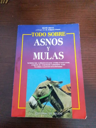 Todo Sobre Asnos y Mulas (Spanish Edition)