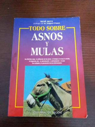 Todo Sobre Asnos y Mulas (Spanish Edition)