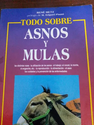 Todo Sobre Asnos y Mulas (Spanish Edition)