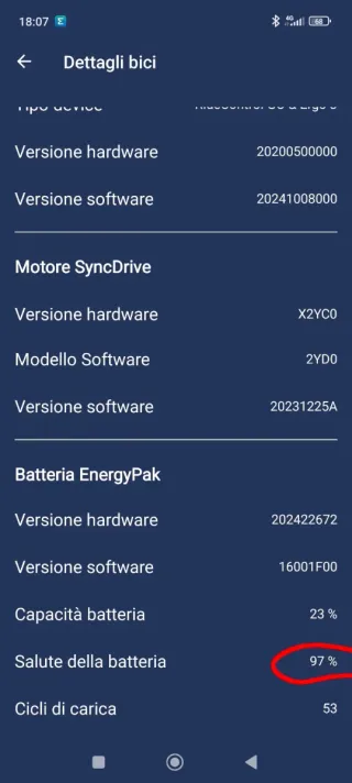 Giant Trance X Advanced E-Bike