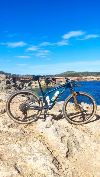 Specialized World Cup