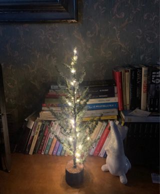 Albero natalizio luminoso