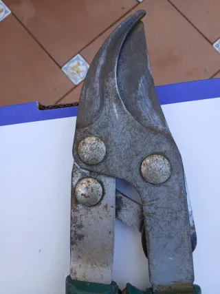 Tijeras de podar profesionales