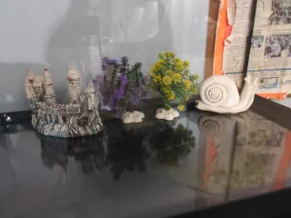 Acuario con castillo y caracol