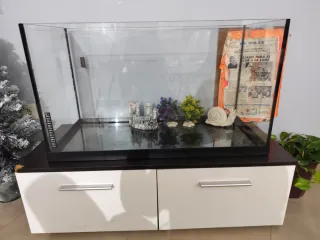 Acuario con castillo y caracol