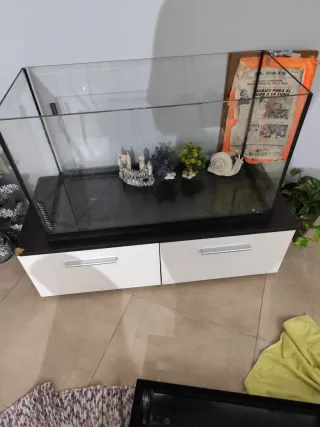 Acuario con castillo y caracol