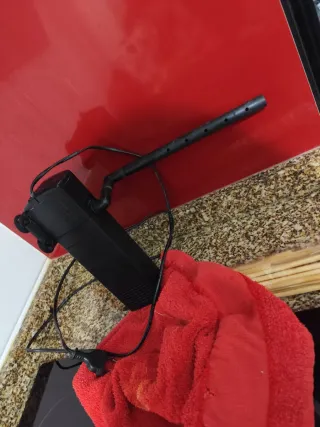 Acuario con castillo y caracol