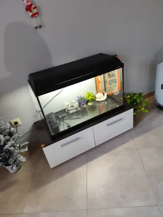 Acuario con castillo y caracol