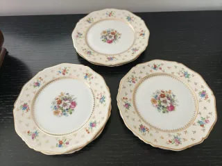 Esclusivi 6 Piatti Floreali Limoges