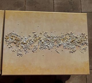 Quadri astratti con texture gesso