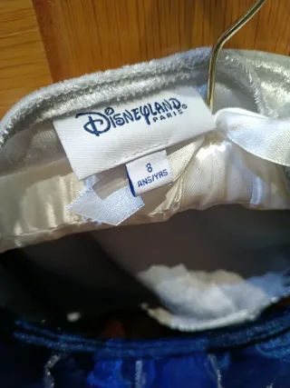 Disfraz Campanilla Azul Niña