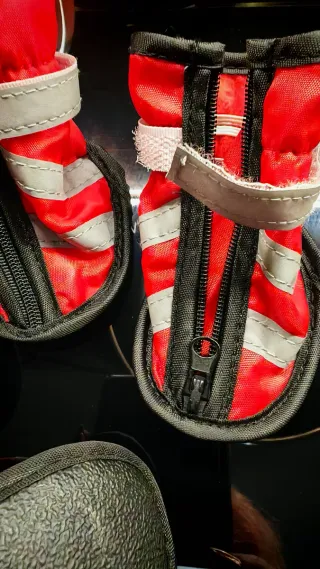 Scarpette per cani nuove rosse e nere