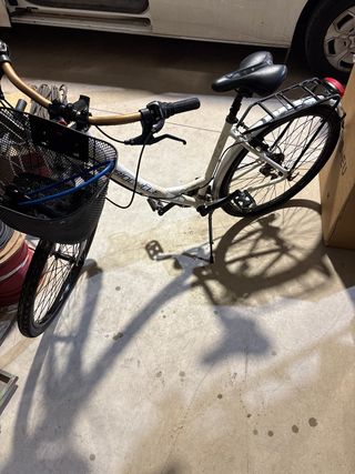 Bicicleta Mujer Cesto y Asiento Trasero