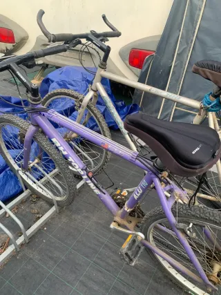 Bicicleta BH Top Line ALU 110 Morada