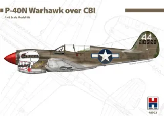 Aereo Kit Curtiss P-40N Warhawk CBI Hobby2000 1/48