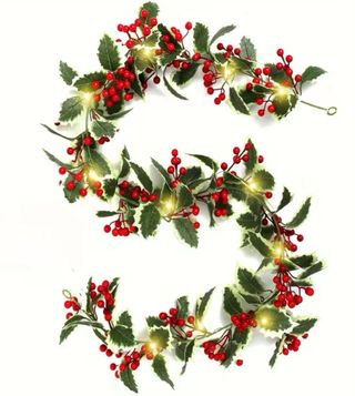 Ghirlanda natalizia con luci