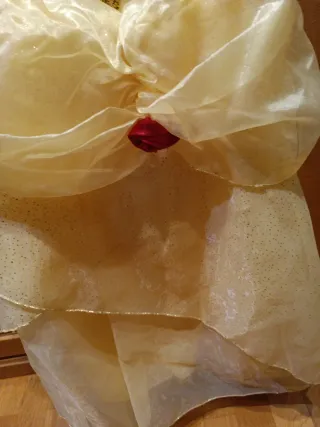 Disfraz Bella Princesa