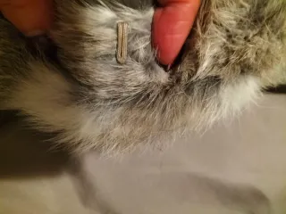 Chaleco pelo conejo con bolsillos laterales