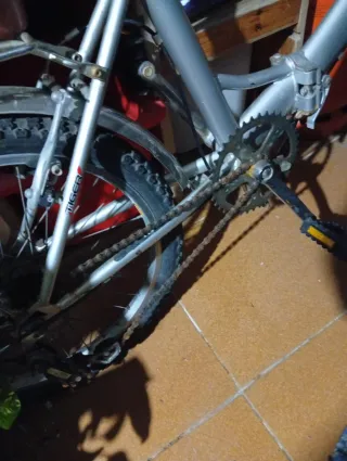 Bicicleta TIGER plateada