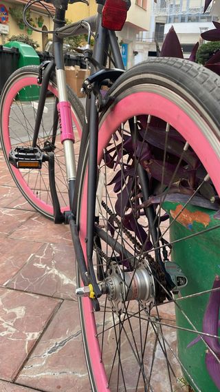 Bicicleta Urbana molona