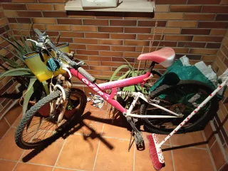 Bicicleta Montaña Otero Rosa