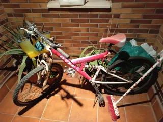 Bicicleta Montaña Otero Rosa