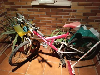 Bicicleta Montaña Otero Rosa