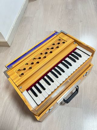 Armonio artesanal de India