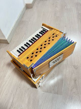 Armonio artesanal de India