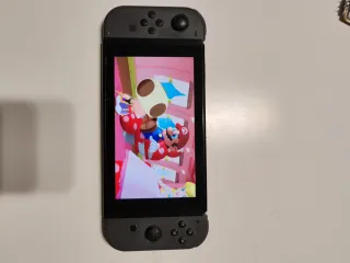 Nintendo Switch Gris