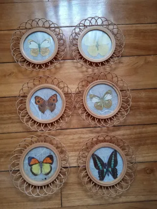 6 Posavasos Vintage Mariposas